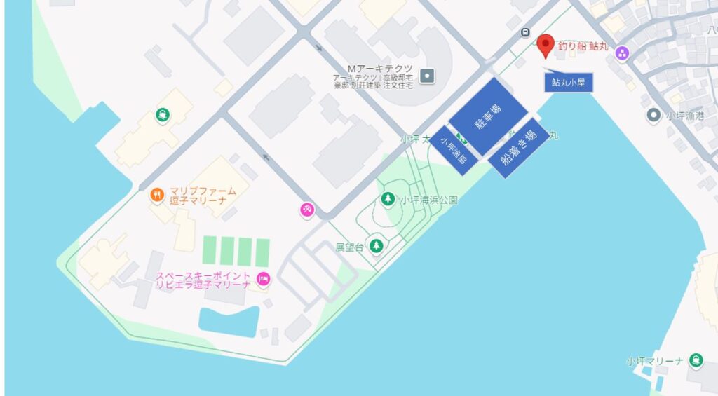 小坪漁港付近_拡大地図